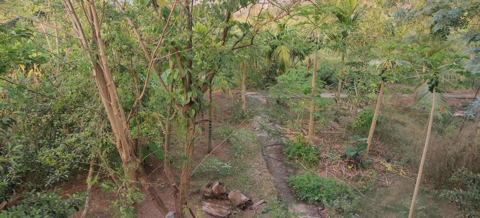 Gulmohar Cottages - Home Stay In Alibag Exterior photo